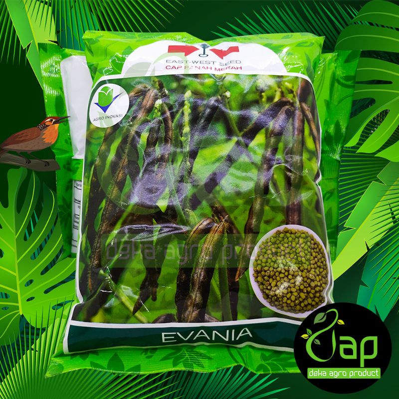 PROMO BIBIT BENIH KACANG HIJAU EVANIA 1KG