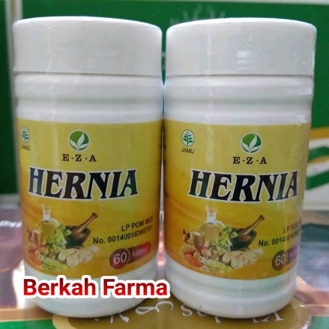  Obat  Hernia  Herbal Ampuh Mengobati Penyakit Hernia  Tedun 