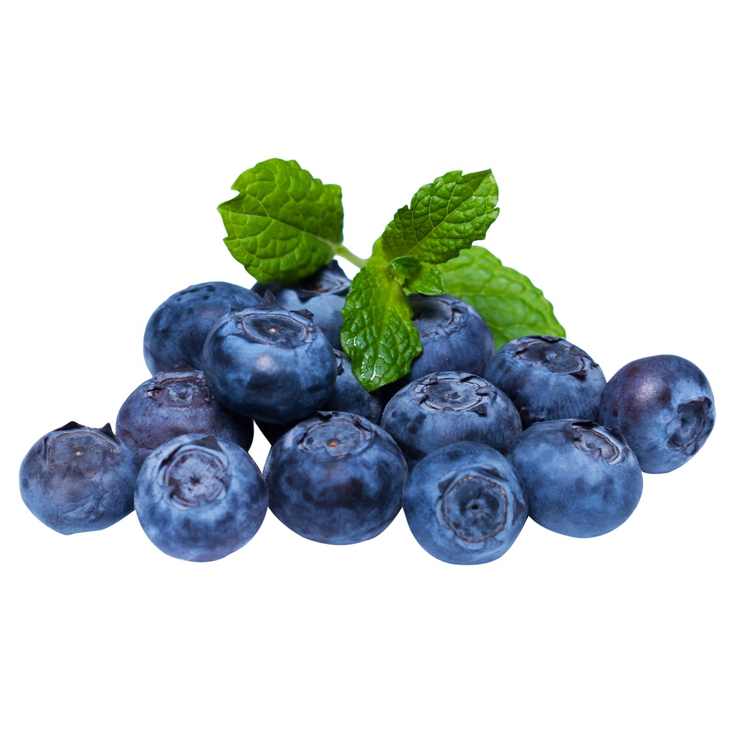 

BLUEBERRY ARGENTINA - FRESH BLUEBERRY - SUKABUAH
