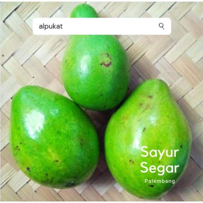 

Alpukat Mentega Per Kg