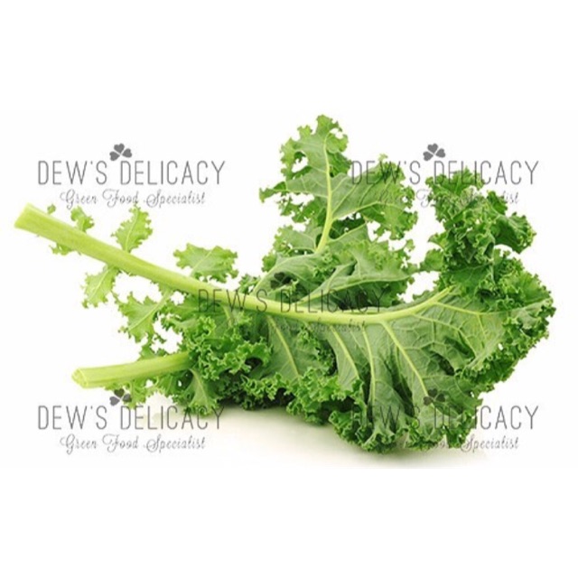 

Sayuran Organik Salad Series - Organic Kale & Andewi