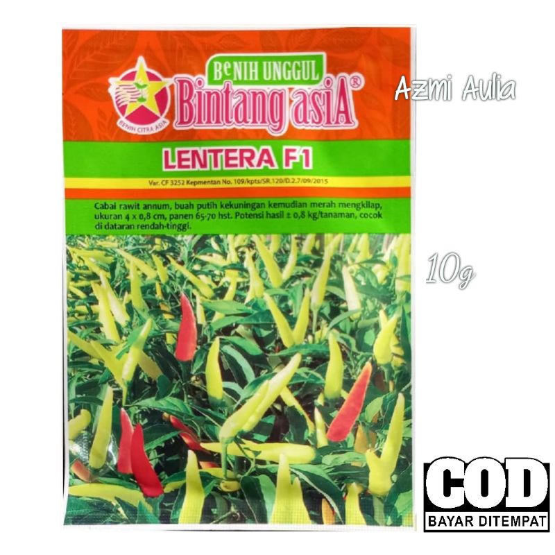 Benih Cabe Rawit LENTERA F1 - Benih Cabe - Benih Cabai Rawit - Bibit Cabai Rawit - Binit Cabe Rawit