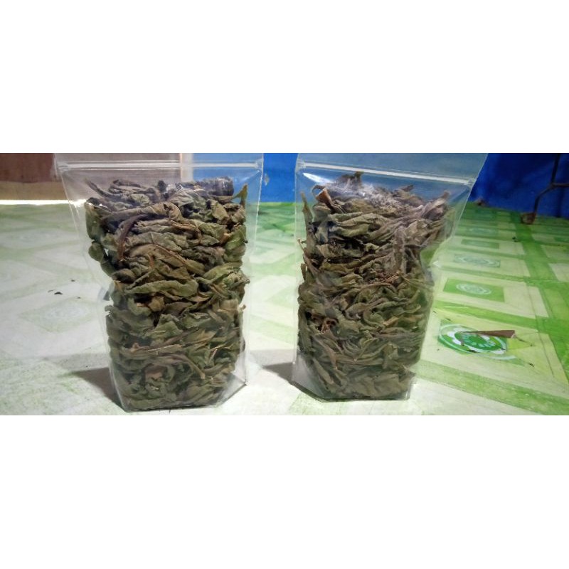 

jamu tapak Liman kering