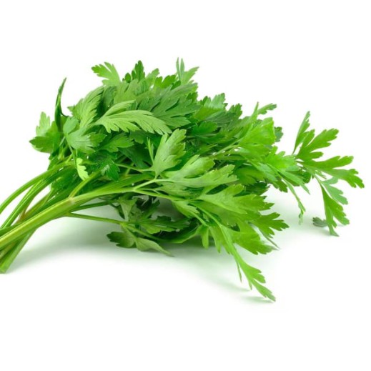 

Seledri 150gr [Jaminan Kualitas]