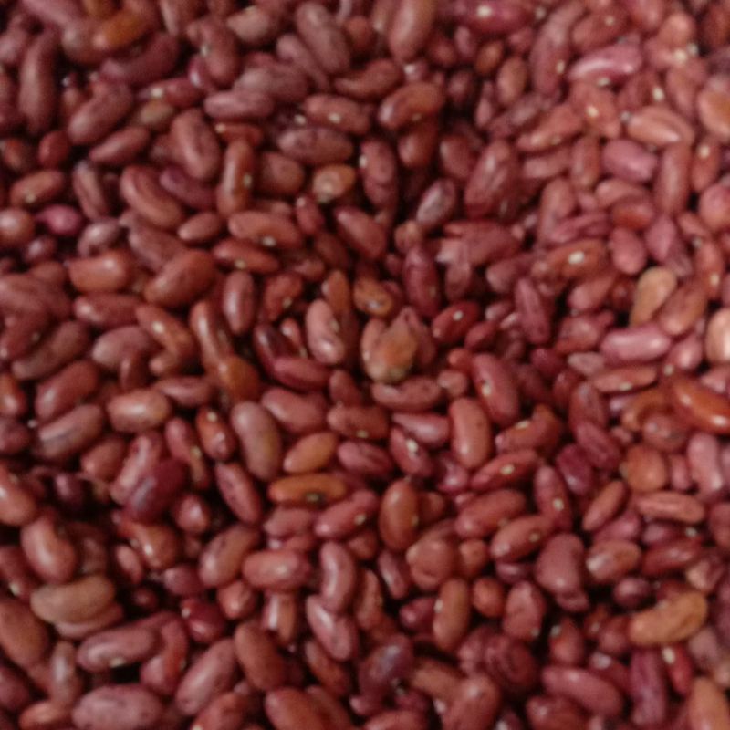 

kacang merah 250gm