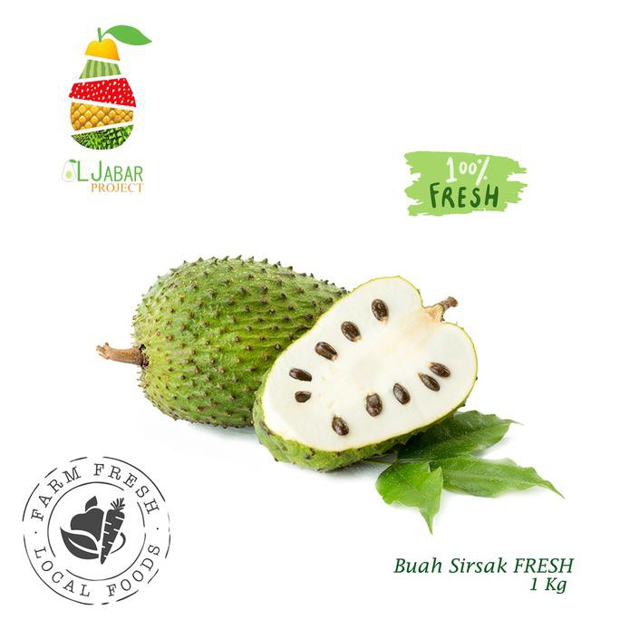 

Buah Sirsak Segar / Fresh Soursop / Fruit Soursop