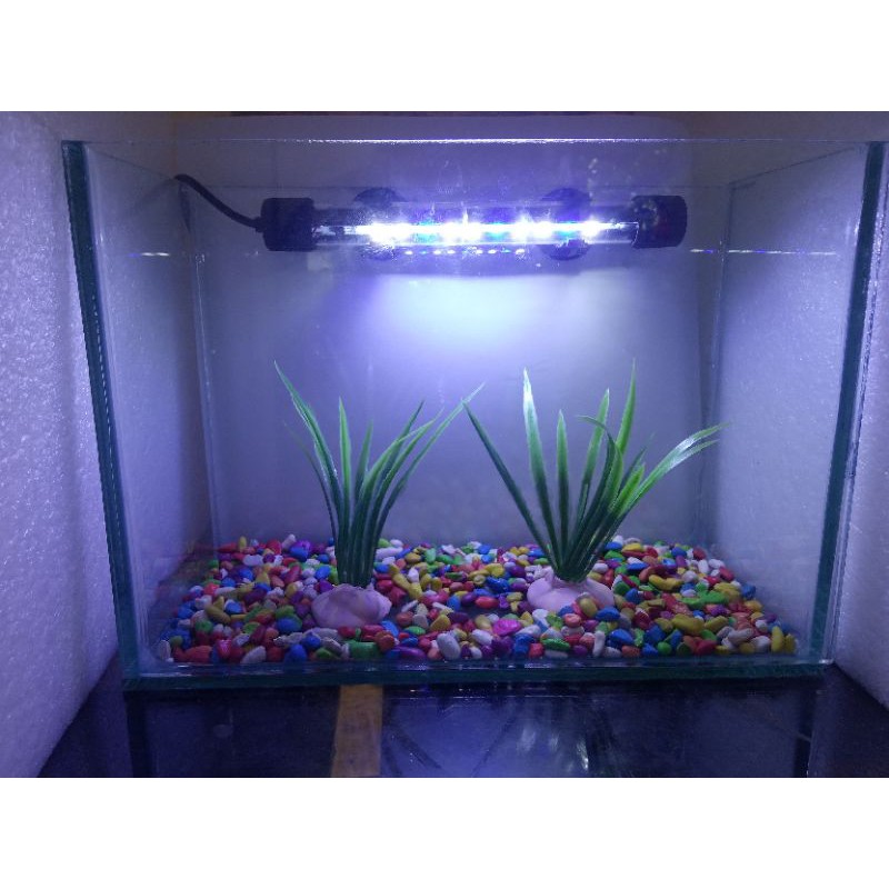 Aquarium aquascape fullset+Tanaman+Batu hias+Lampu Celup