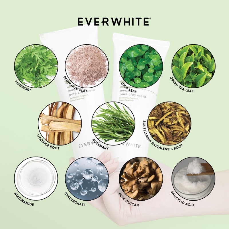 EVERWHITE Mugwort Pore Clay Mask Indonesia / Facial Wash Toner Essence Serum Eye Cream Masker Soap