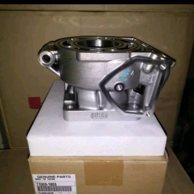 Blok Ninja R RR super kips 1855 original Kawasaki