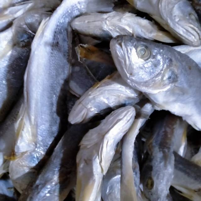 

Ikan asin SAMGE 1/2 kg