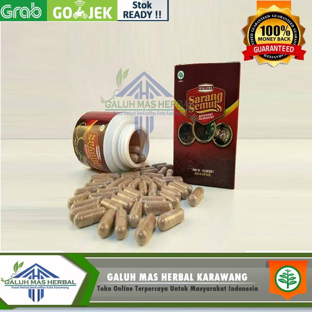 Obat herbal Penyakit   Batu Ginjal - Batu Empedu - Gagal Ginjal - Infeksi Ginjal - Gangguan Ginjal