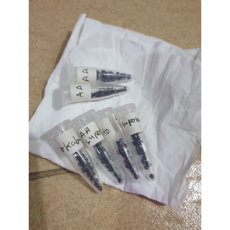 Superkabuto Biji Kaktus