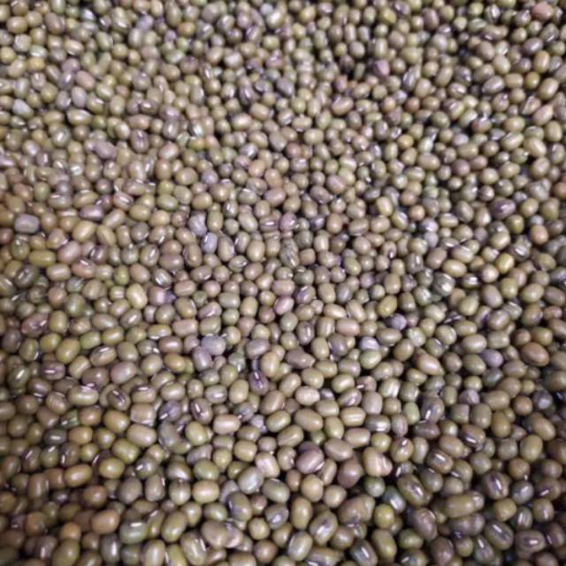 

Kacang Hijau 250gr