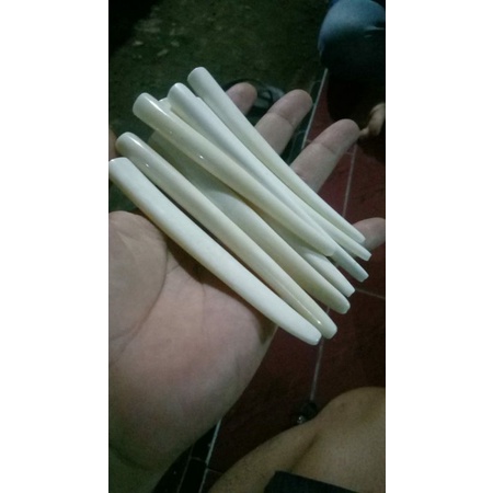 pipa once tulang sapi