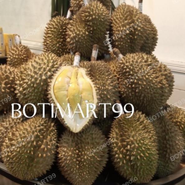 

DURIAN RAJA EMAS UTUH DURIAN MONTHONG PALU SULAWESI 3-4KG FH51515ED