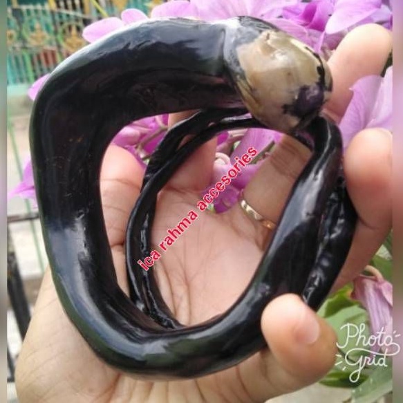Gelang akar bahar hitam bonggol super jumbo