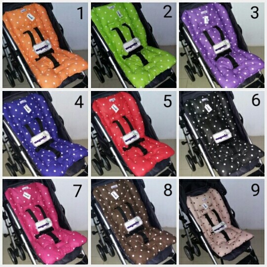 Alas Stroller&Carseat