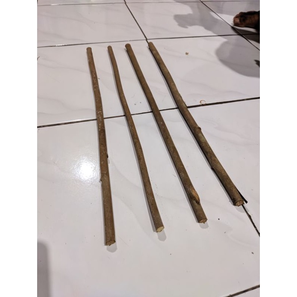 Tangkringan Burung Kenari Kacer Kayu Asem Bali