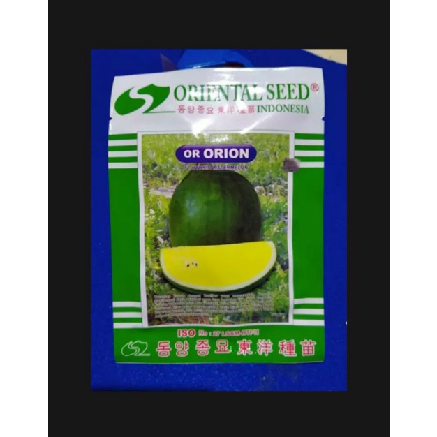 500 benih bibit semangka kuning F1 hybrid