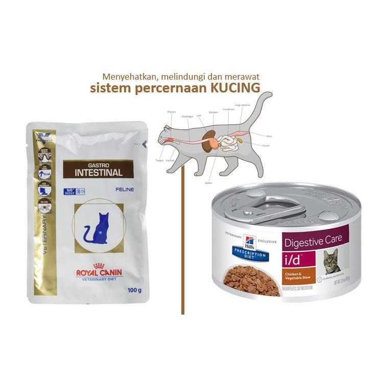 Makanan Khusus Gangguan Pencernaan Diare Muntah Kucing Gastro Intestinal Rc I D Science Diet Hills Shopee Indonesia