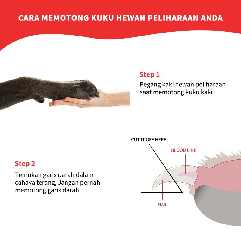 Potong Kuku Kucing Anjing /Gunting Kuku Kucing / Pet Nail Clipper Alat