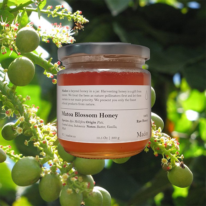 

Madoe - Matoa Blossom Honey