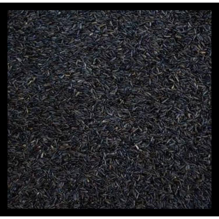

Niger Seed Kemasan 1 Kg Terjamin