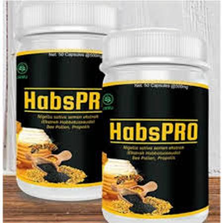 Obat Herbal Penambah ASI Habspro