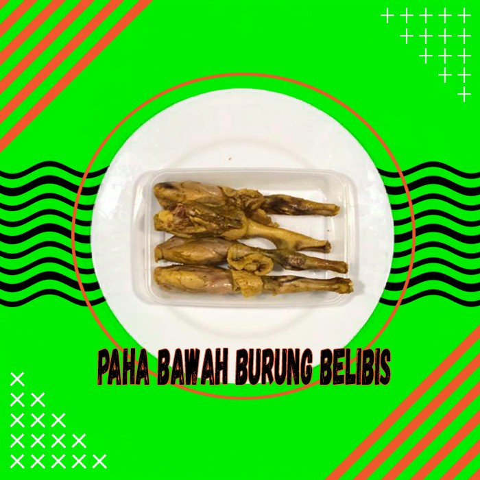 

Paha Bawah Burung Belibis isi 4