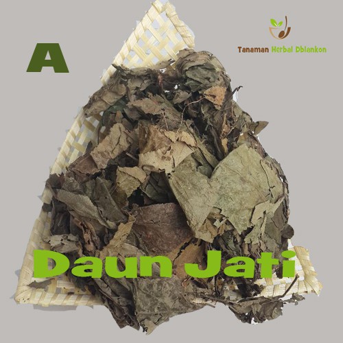 

Daun Jati Kering