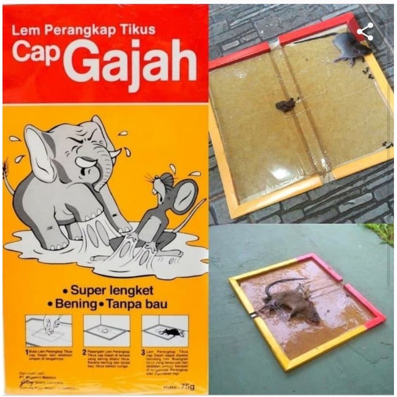 cap gajah lem tikus papan isi 1