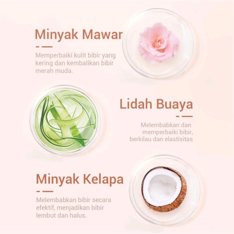 [BPOM] Lanbena Lip Mask | Sugar | Rose | Aloe Vera | Coconut