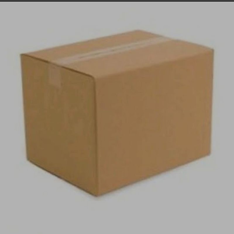 

kardus+bubble wrap tambahan packaging