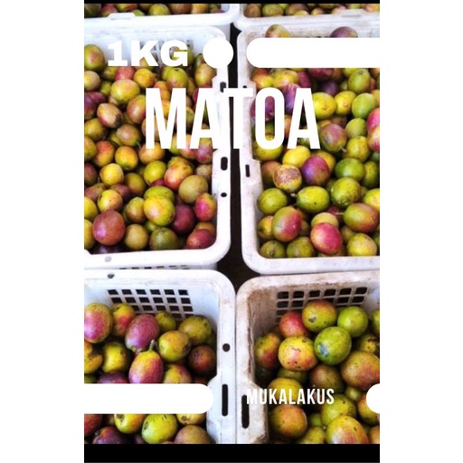 

PROMO TERMURAH GROSIR BUAH MATOA SEGAR 1KG