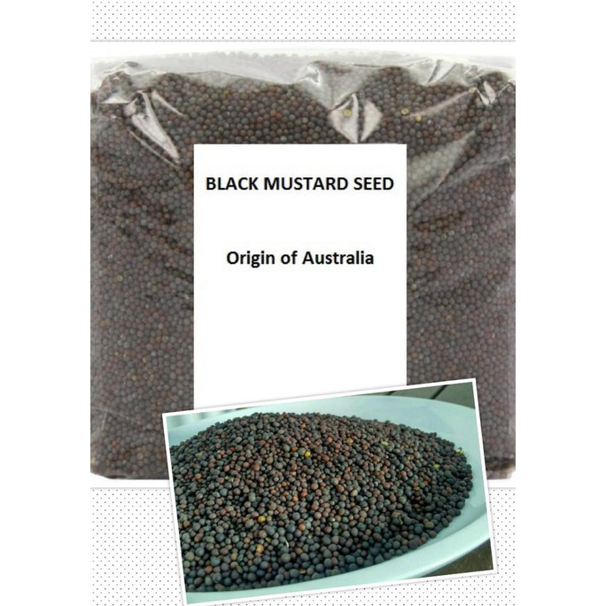 

Black Mustard Seed / Biji Sawi - 50 Gram