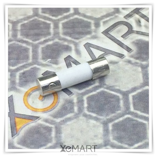 Ceramic Fuse 4A 5x20mm Sekring 20mm Slow Blow