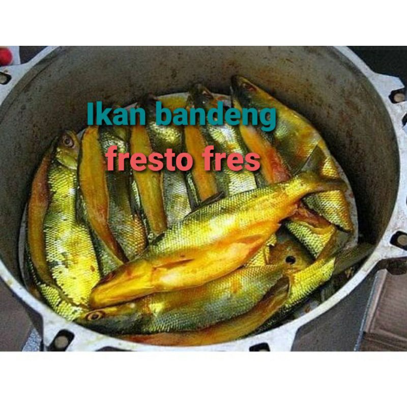 

ikan bandeng fresto2 biji