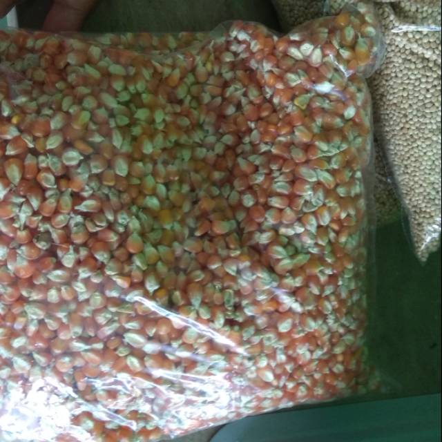 

jagung