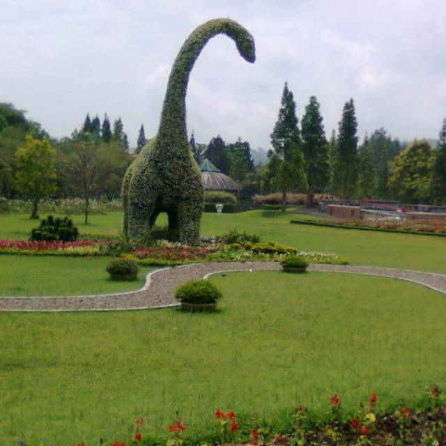 ariindahais