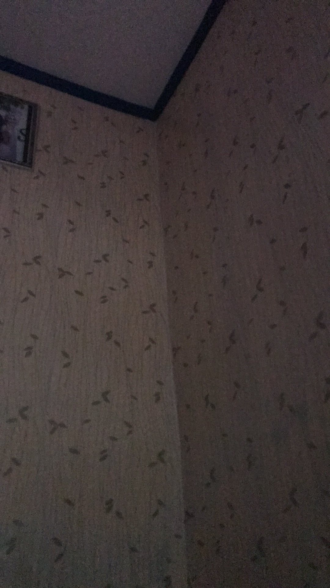 [cod Bayar Di Tempat] Wallpaer Stiker Dinding Premium High Quality Size 45cmx10m Termurah