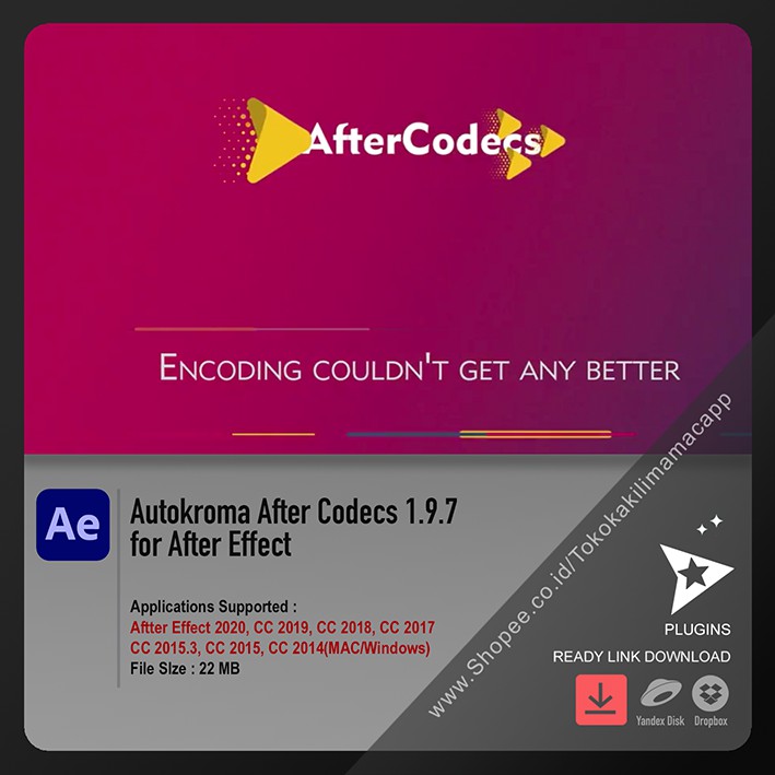 After Codec Plugins for After Effect