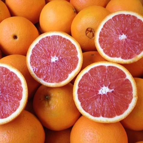 

SUKABUAH pindah akun ke sukabuah.jkt