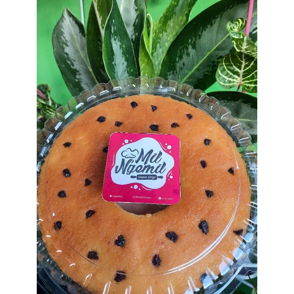 

bolu tape