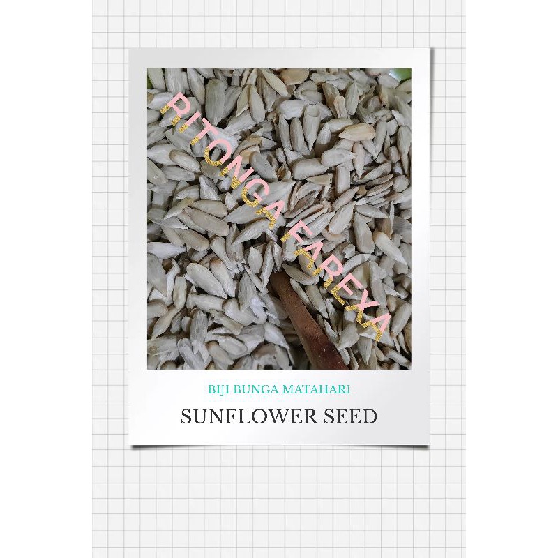 

SUNFLOWER SEED / BIJI BUNGA MATAHARI