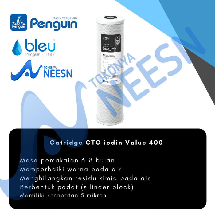cartridge Filter 10 inch GAC ( coconut carbon &amp; 950 Iodine Value )