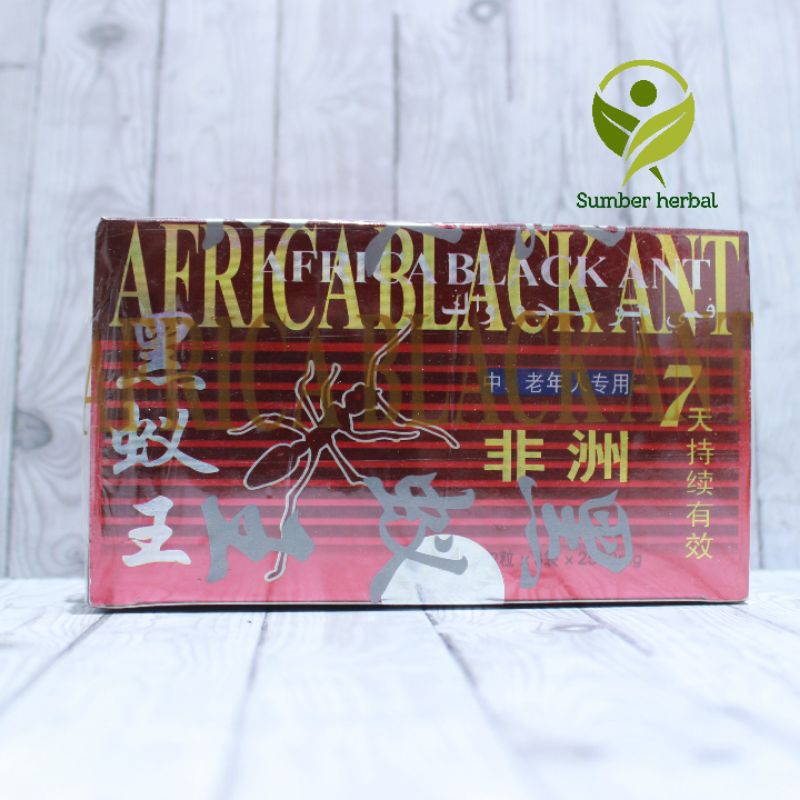 SEMUT AFRICA BLACK ANT ISI 15