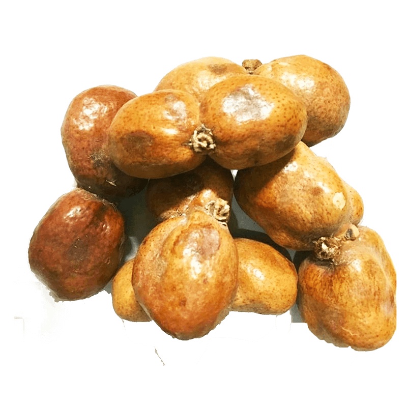 Buah Zuriat Ibnu Sina 500gr/ Zuriat Mesir Original / Premium Zuriat Promil Gold