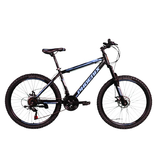 Sepeda MTB 24 Phoenix 171 Mx