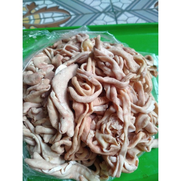 

Usus Ayam Broiler