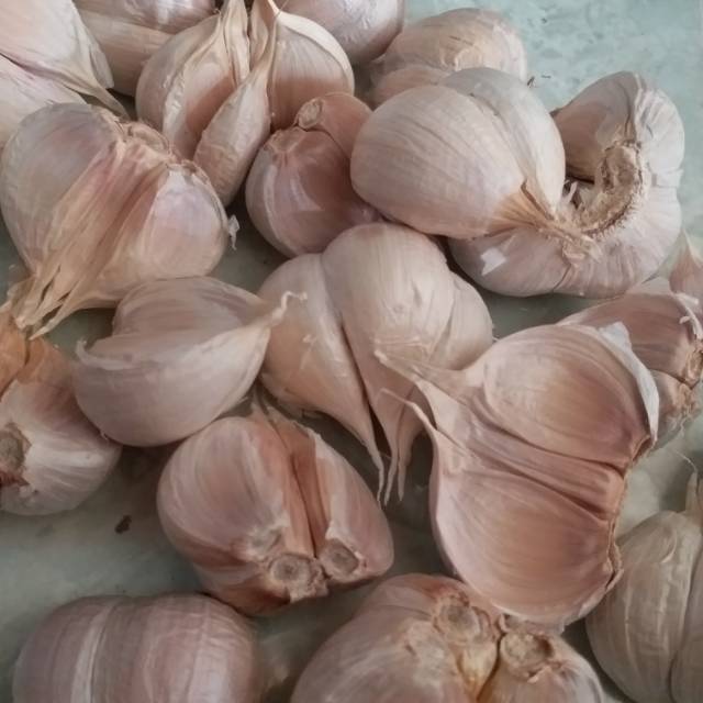 1kg | BAWANG PUTIH KATING | WHOLE GARLIC